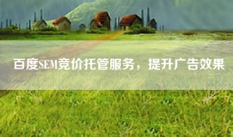 百度SEM竞价托管服务，提升广告效果