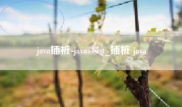 java插桩-javaassist_插桩 java