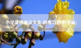 小学英语语法大全-附练习题(附答案)