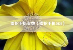 雷蛇手机参数（雷蛇手机2020）