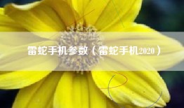 雷蛇手机参数（雷蛇手机2020）
