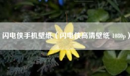 闪电侠手机壁纸（闪电侠高清壁纸 1080p）