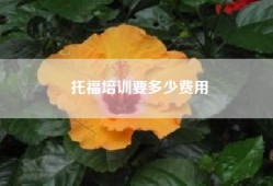 托福培训要多少费用