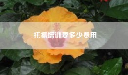 托福培训要多少费用