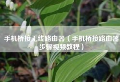 手机桥接无线路由器（手机桥接路由器步骤视频教程）