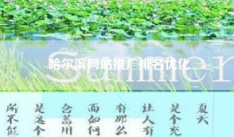 哈尔滨网站推广排名优化