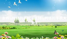 支持5g网络的手机（支持5g网络的手机大全）