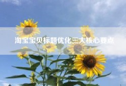 淘宝宝贝标题优化三大核心要点