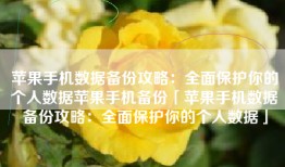 苹果手机数据备份攻略：全面保护你的个人数据苹果手机备份「苹果手机数据备份攻略：全面保护你的个人数据」