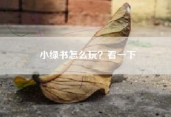 小绿书怎么玩？看一下