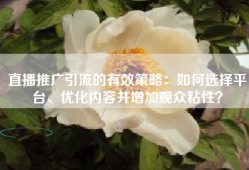 直播推广引流的有效策略：如何选择平台、优化内容并增加观众粘性？