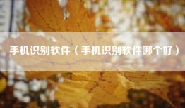 手机识别软件（手机识别软件哪个好）