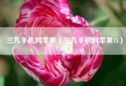 三九手机网苹果（三九手机网苹果15）