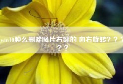 win10肿么删除图片右键的 向右旋转？？？？？