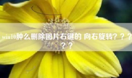 win10肿么删除图片右键的 向右旋转？？？？？