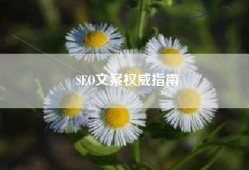 SEO文案权威指南