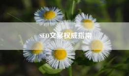 SEO文案权威指南