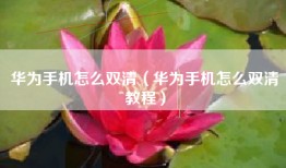 华为手机怎么双清（华为手机怎么双清教程）