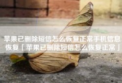 苹果已删除短信怎么恢复正常手机信息恢复「苹果已删除短信怎么恢复正常」