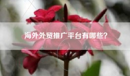 海外外贸推广平台有哪些？