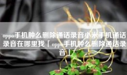 oppo手机肿么删除通话录音小米手机通话录音在哪里找「oppo手机肿么删除通话录音」