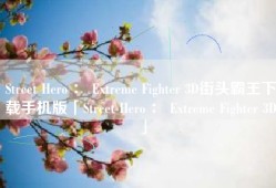 Street Hero ： Extreme Fighter 3D街头霸王下载手机版「Street Hero ： Extreme Fighter 3D」
