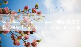 Street Hero ： Extreme Fighter 3D街头霸王下载手机版「Street Hero ： Extreme Fighter 3D」