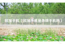 欧加手机（欧加手机是杂牌手机吗）