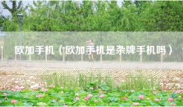 欧加手机（欧加手机是杂牌手机吗）
