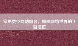 常见类型网站排名，揭秘网络世界的江湖地位