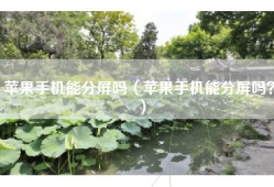 苹果手机能分屏吗（苹果手机能分屏吗？）