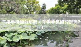苹果手机能分屏吗（苹果手机能分屏吗？）