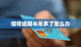 借呗逾期半年多了怎么办