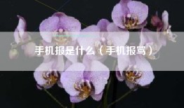 手机报是什么（手机报骂）