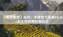 【项目推荐】芯动：全球首个采用WB-PLC和无线射频的单芯片
