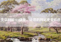 北京网站SEO优化，让您的网站更受欢迎！