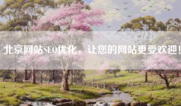 北京网站SEO优化，让您的网站更受欢迎！