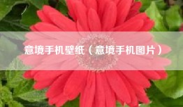 意境手机壁纸（意境手机图片）