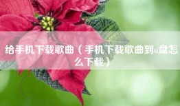给手机下载歌曲（手机下载歌曲到u盘怎么下载）