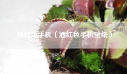 酒红色手机（酒红色手机壁纸）