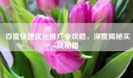 百度快速优化推广全攻略，深度揭秘实战秘籍