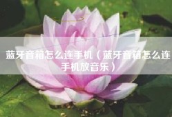 蓝牙音箱怎么连手机（蓝牙音箱怎么连手机放音乐）