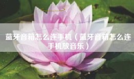蓝牙音箱怎么连手机（蓝牙音箱怎么连手机放音乐）