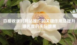 百度收录对网站推广的关键作用及提升曝光度的实际效果