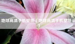 地球高清手机壁纸（地球高清手机壁纸4k）