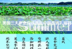 美国三大车企应该退出中国市场？福特称：恰恰相反