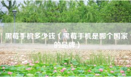 黑莓手机多少钱（黑莓手机是哪个国家的品牌）