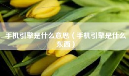 手机引擎是什么意思（手机引擎是什么东西）