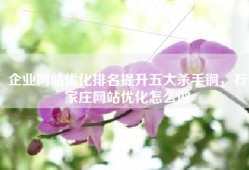 企业网站优化排名提升五大杀手锏，石家庄网站优化怎么做