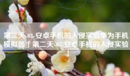 第二天-03-安卓手机的入侵实验华为手机模拟器「第二天-03-安卓手机的入侵实验」